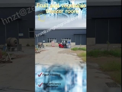 Panneau de stockage à froid d'une épaisseur de 100 mm pour construire un stockage à froid